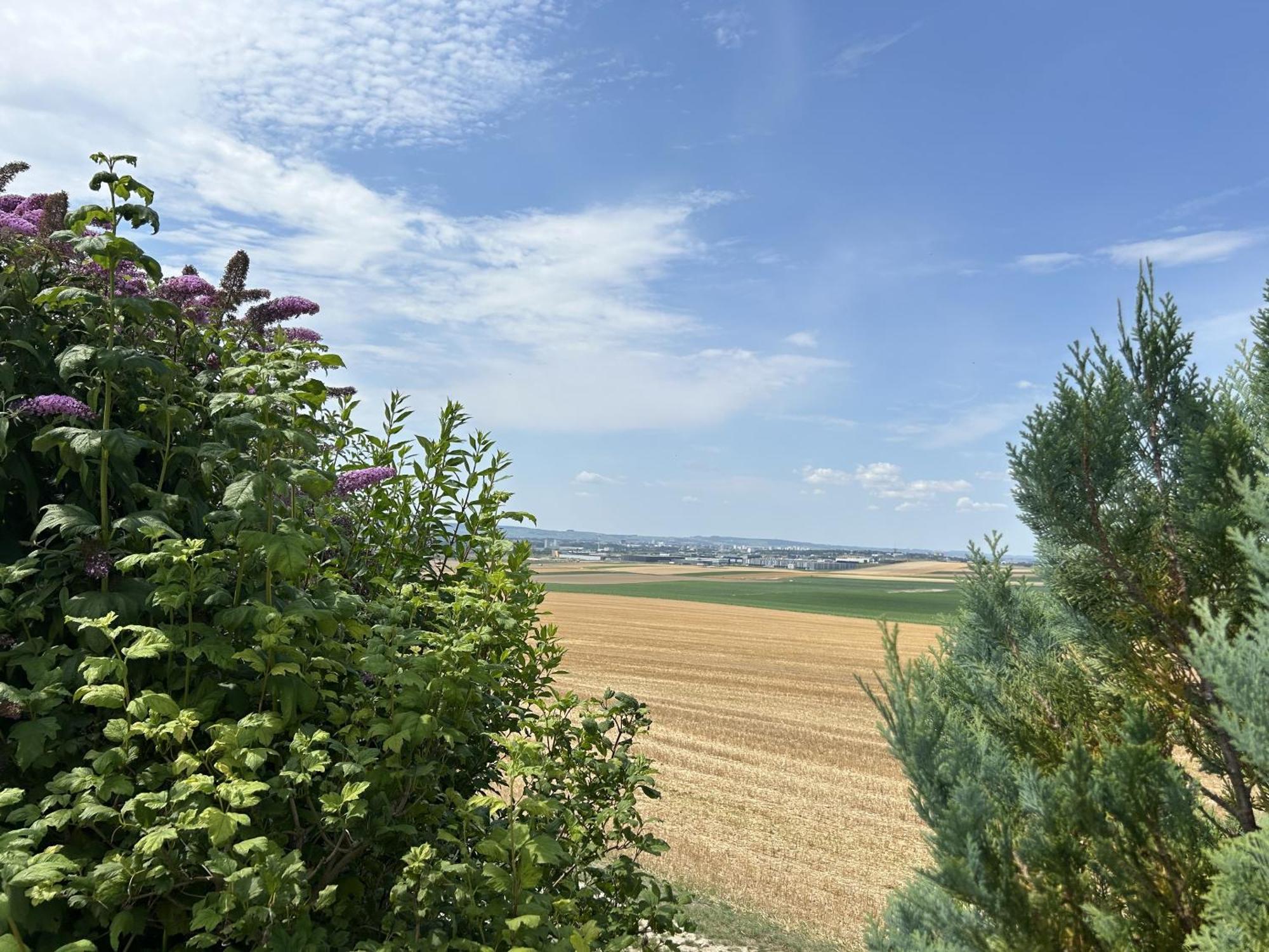 L'Intemporel Cernay-les-Reims Exterior foto